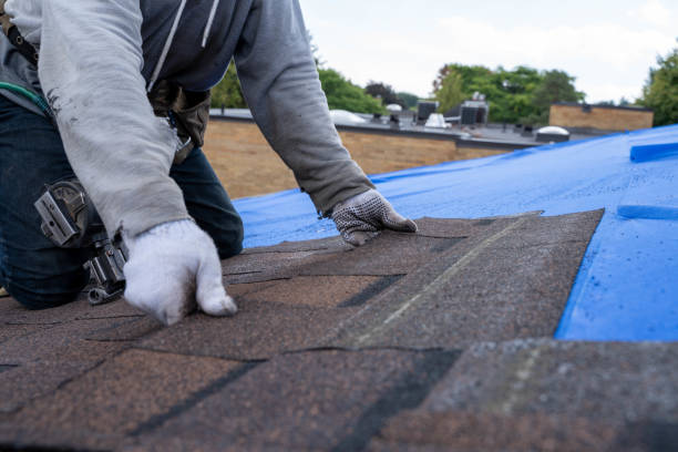 Best Flat Roof Repair Services  in Rkside, PA